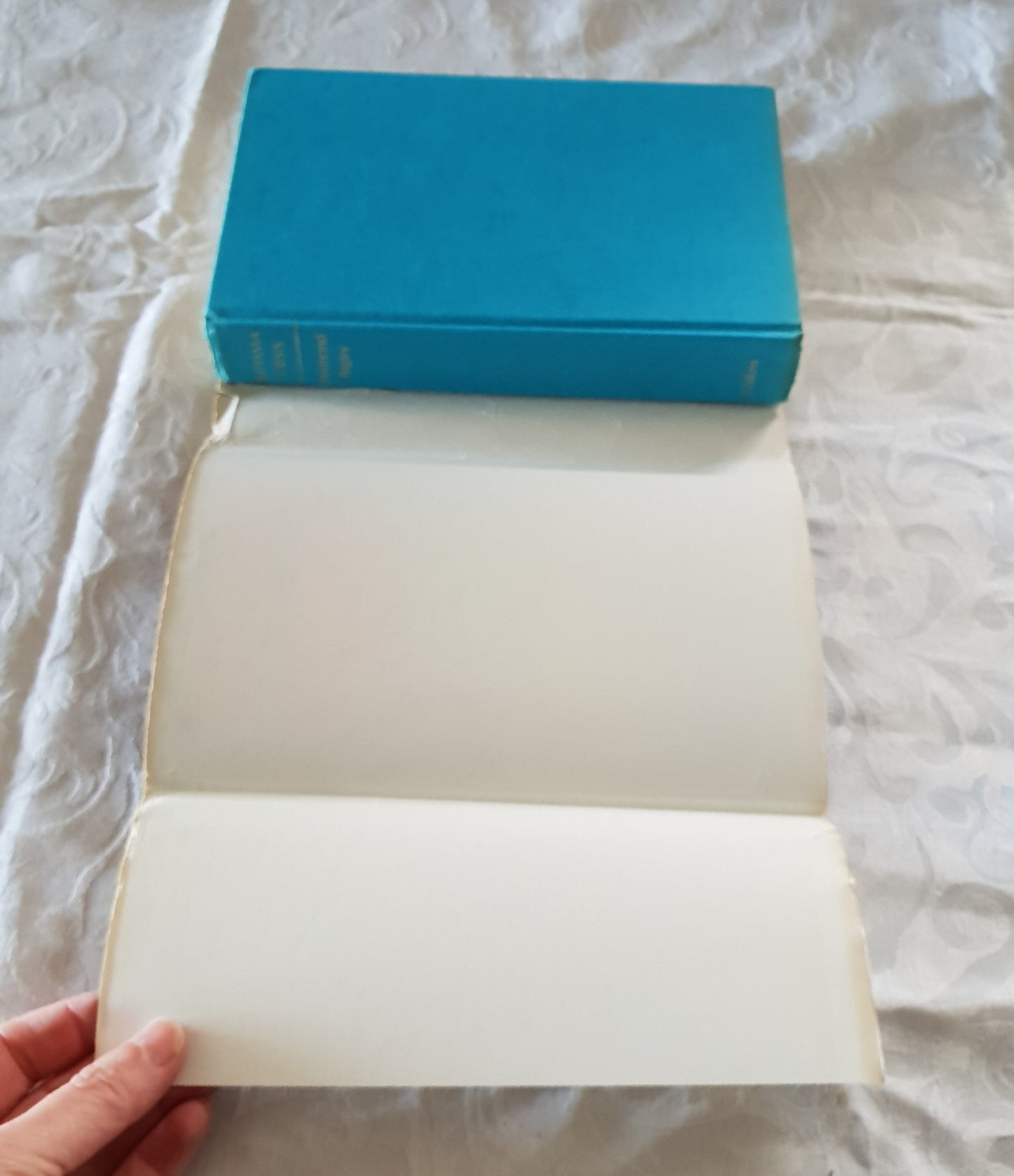 Bahama Crisis by Desmond Bagley