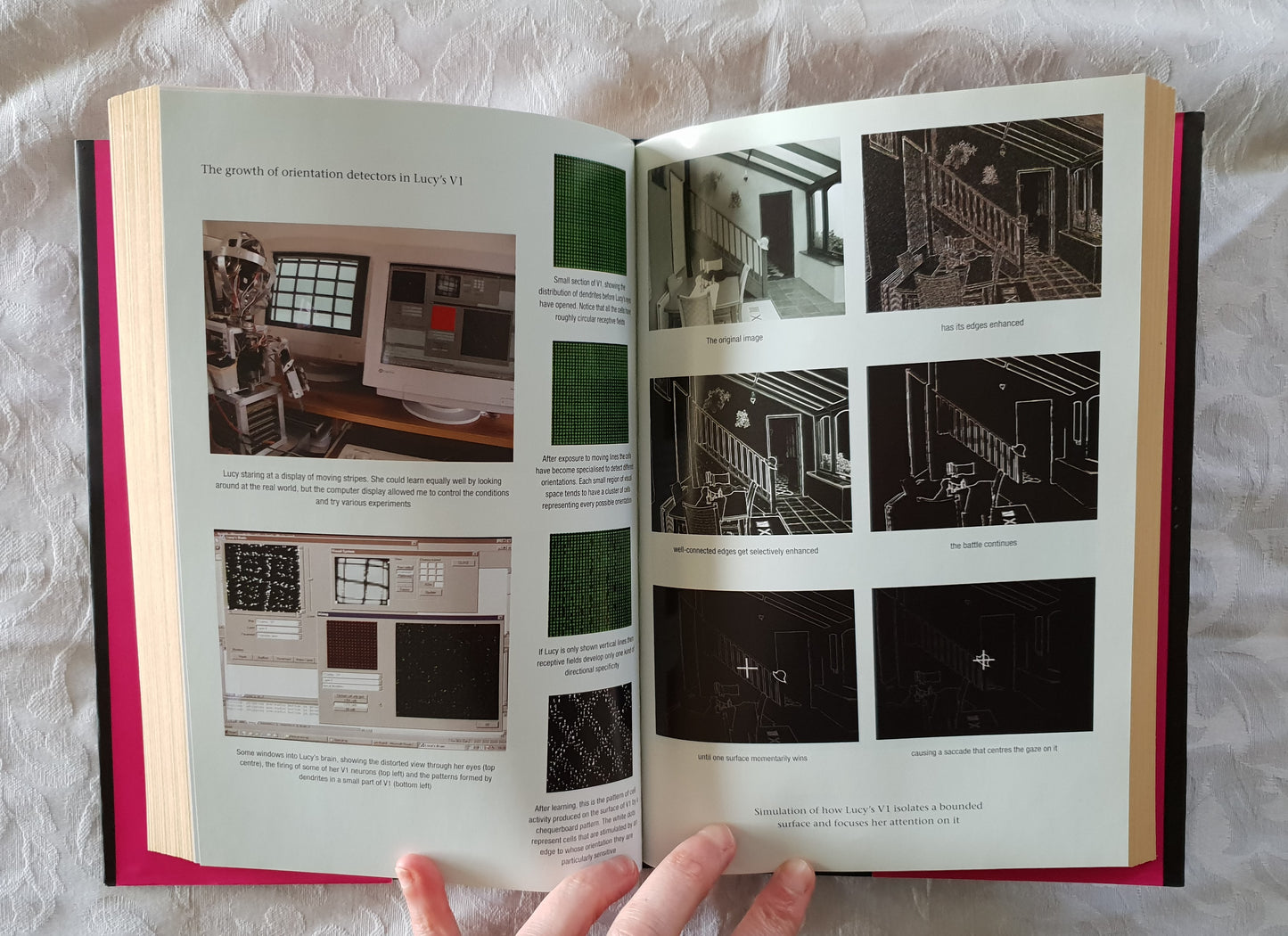 Growing Up With Lucy by Steve Grand