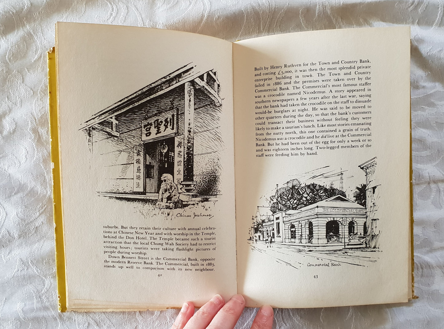 Darwin Sketchbook by Ainslie Roberts and Kim Lockwood