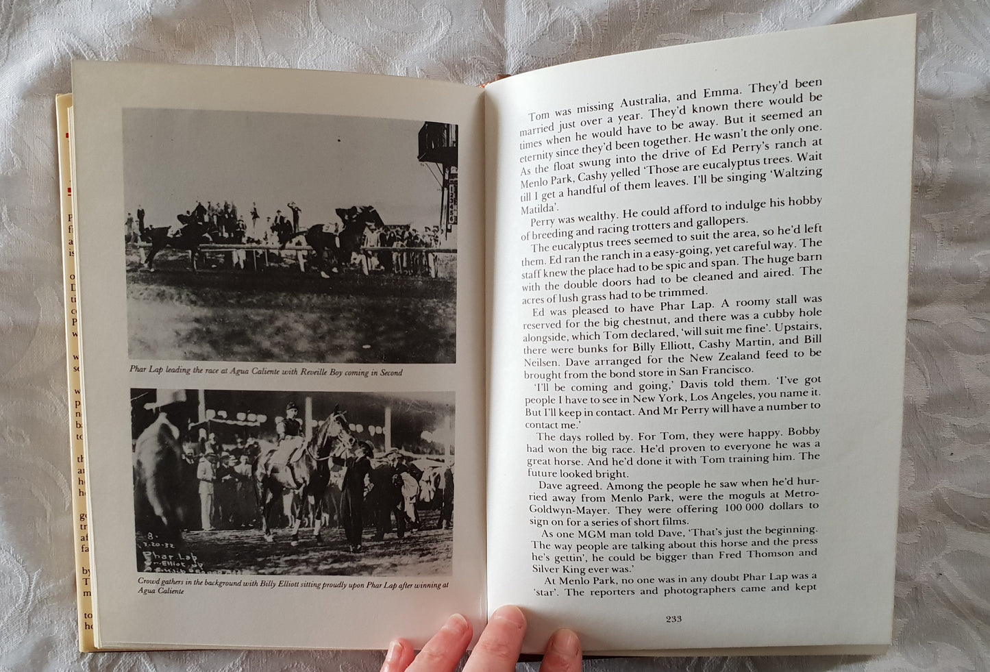 The Phar Lap Story by Michael Wilkinson