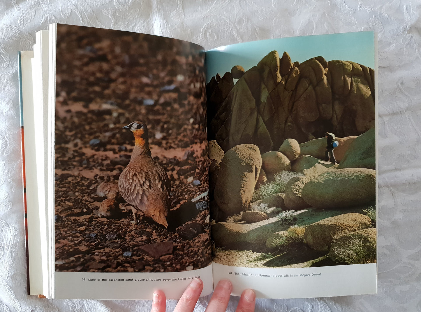 In The Deserts of This Earth by Uwe George