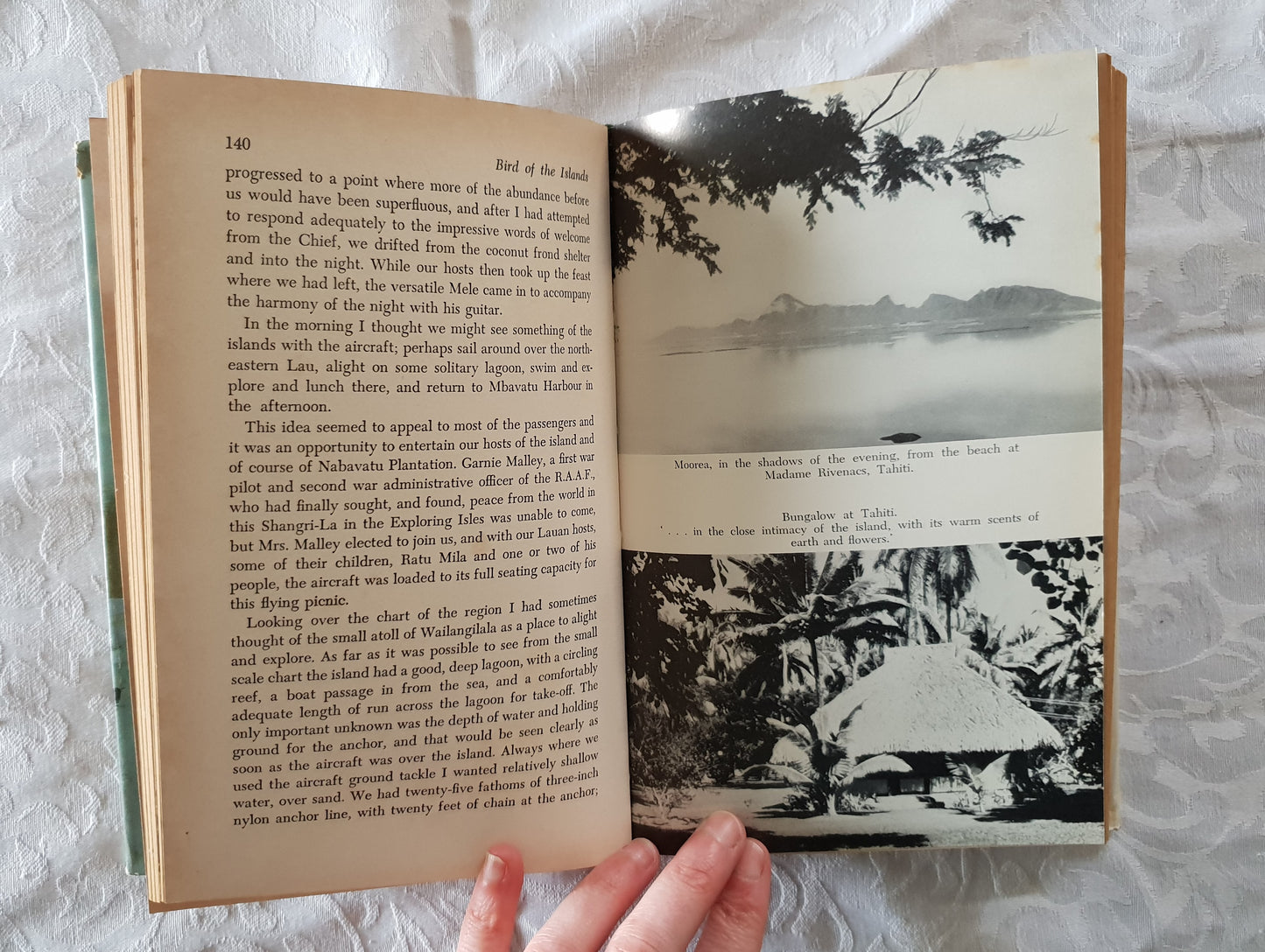 Bird of the Islands by Sir Gordon Taylor