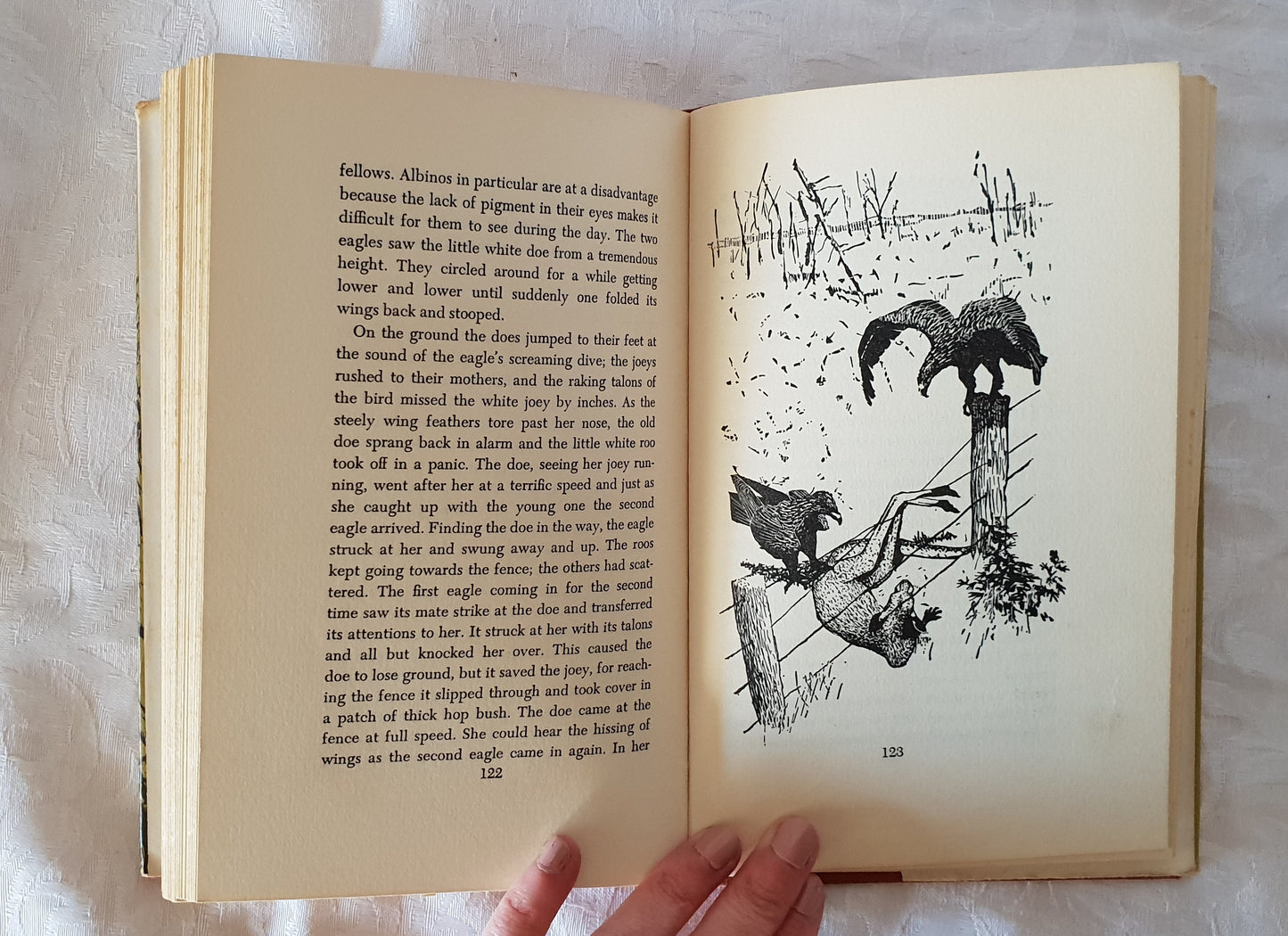 The Roo Shooter by Keith Weatherly