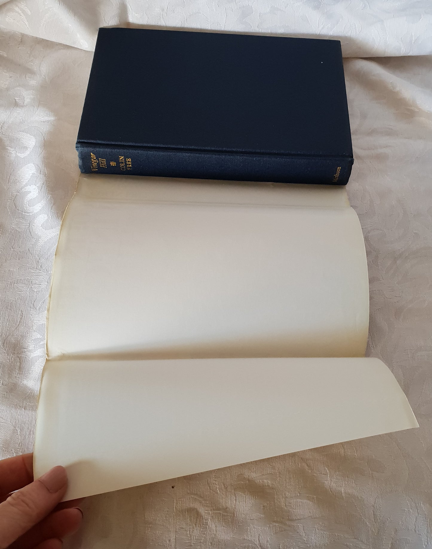 Vinegar Hill by Colin Free