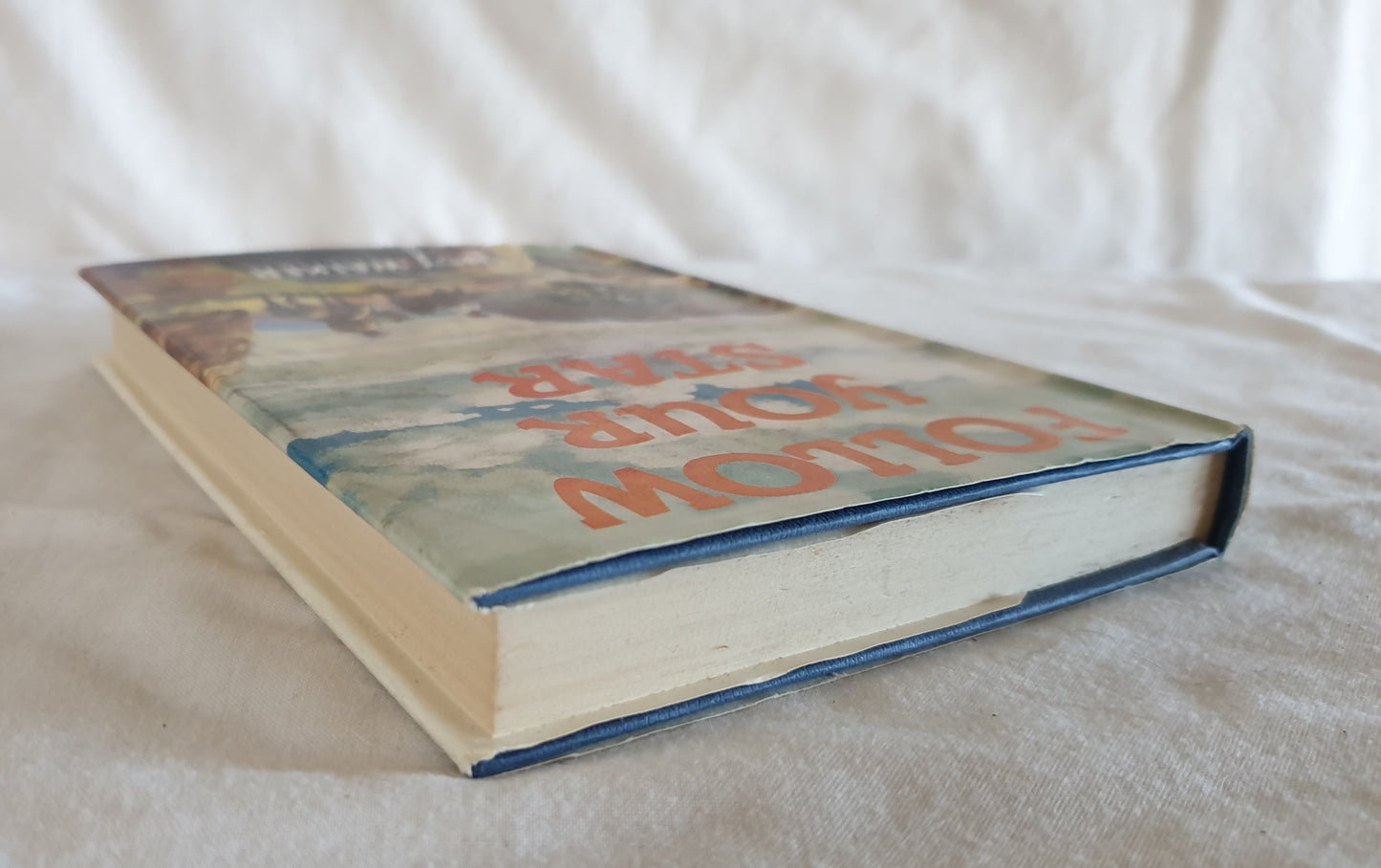 Follow Your Star by Lucy Walker