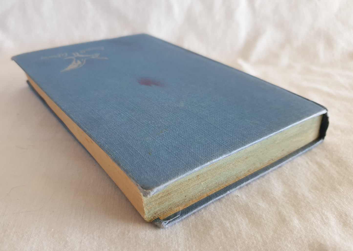 Susan Muddles Through by Jane Shaw