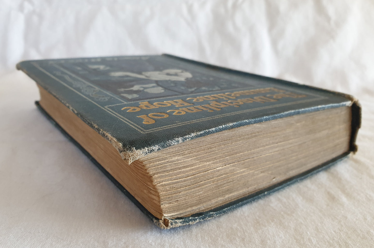 The Discipline of Emmeline Hope by Angela Rivers