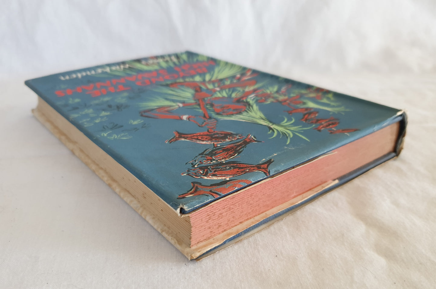 Beyond the High Savannahs by James Wickenden