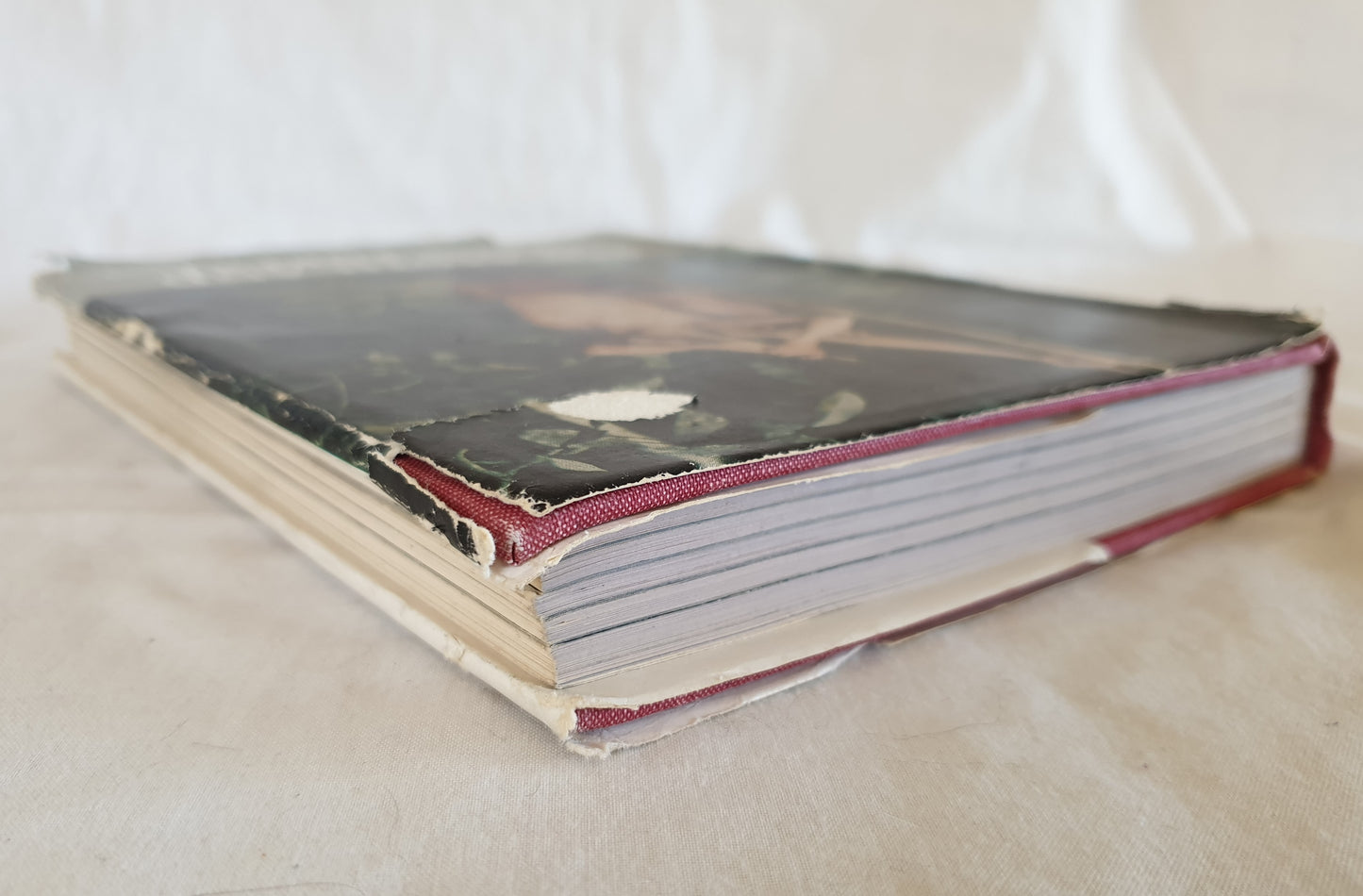 Red Cloth And Green Forest by Alfonso Vinci