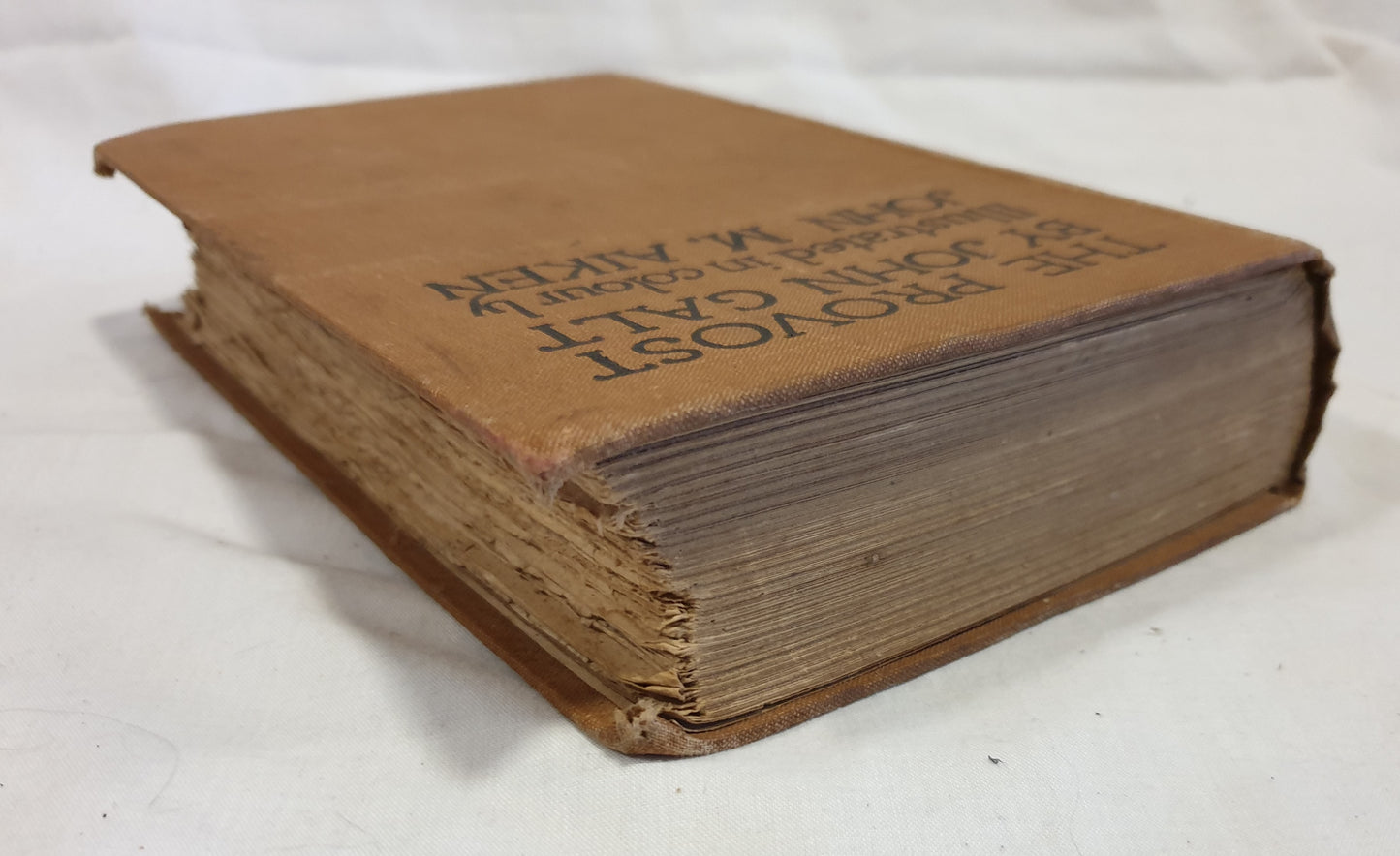 The Provost By John Galt by John M. Aiken