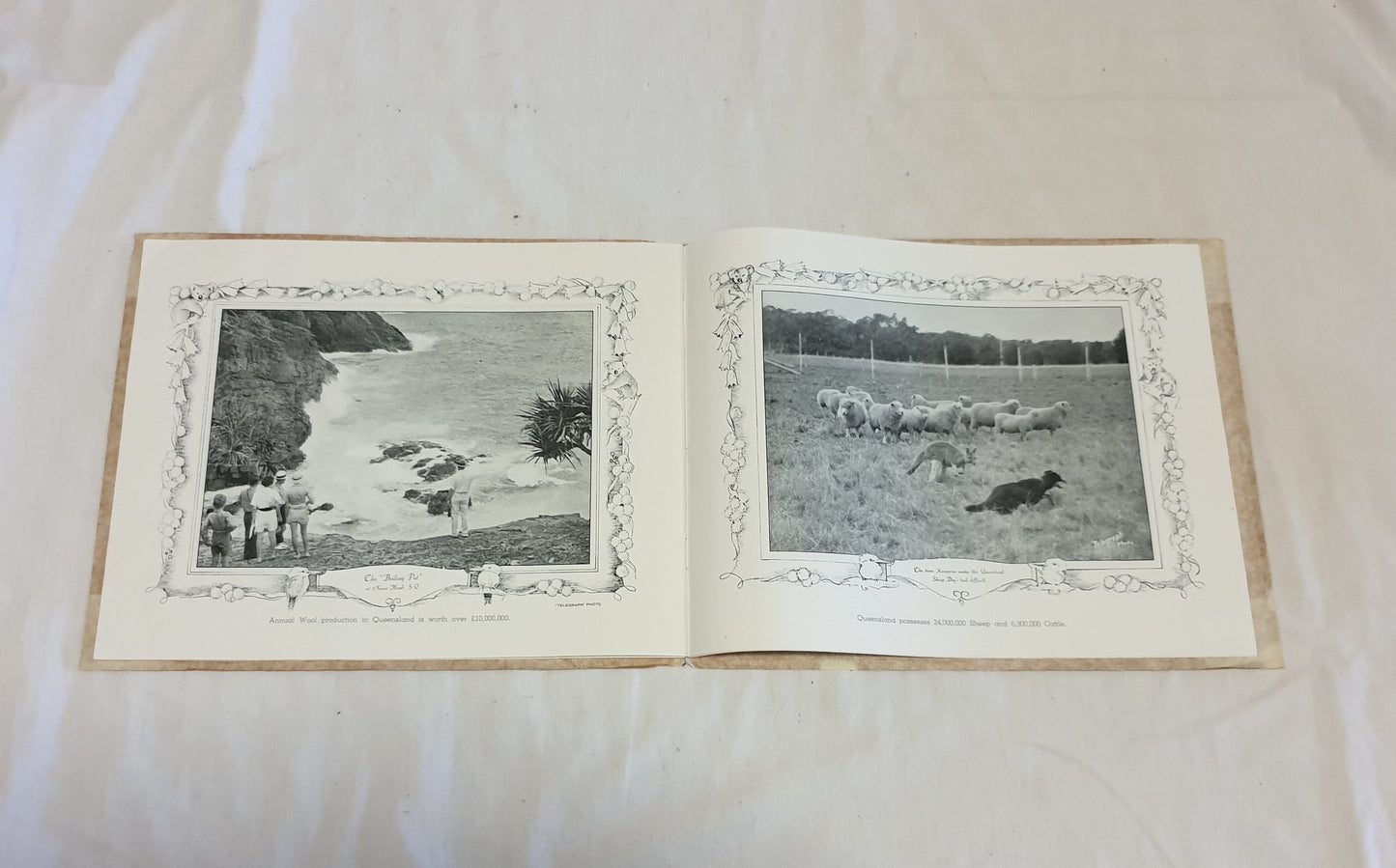 Sunny Queensland and It's Capital - printed by Jackson & O'Sullivan