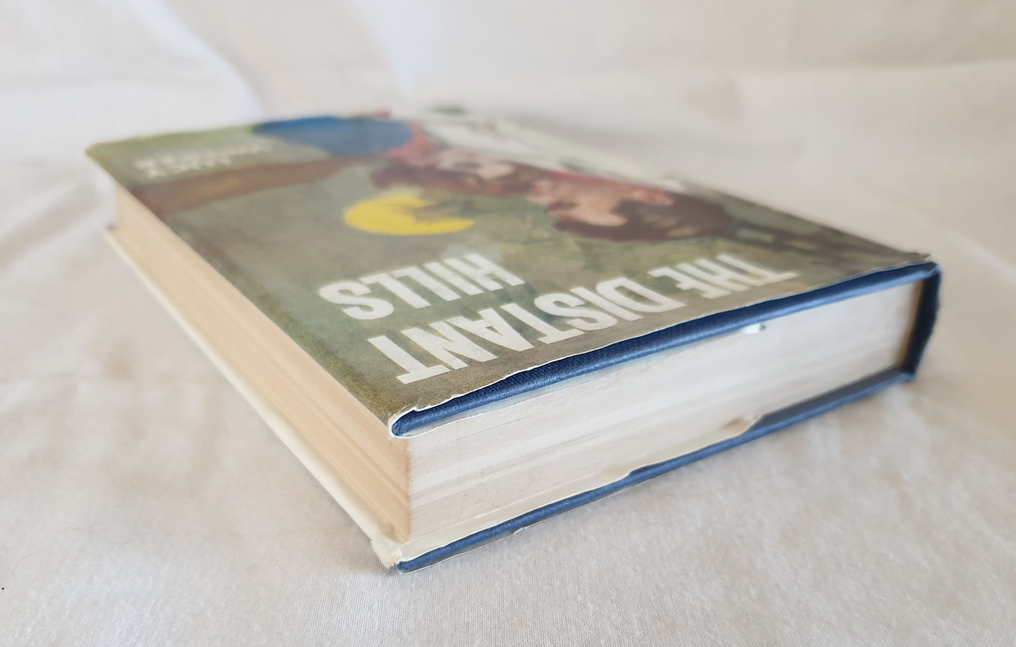 The Distant Hills by Lucy Walker