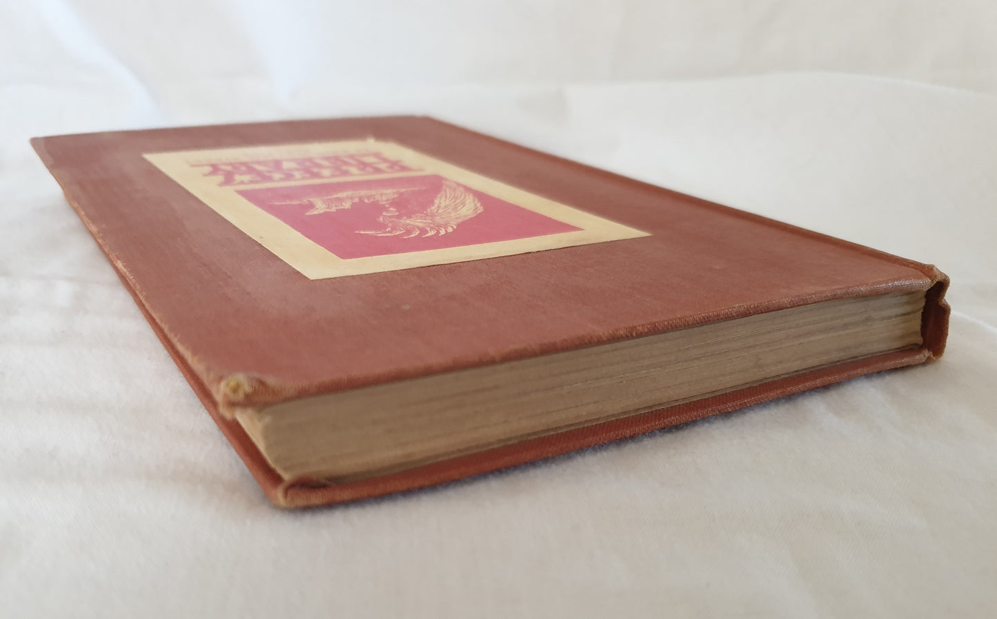 Shadows In The Sun by Stephen Taylor and Phyllis Gadsden