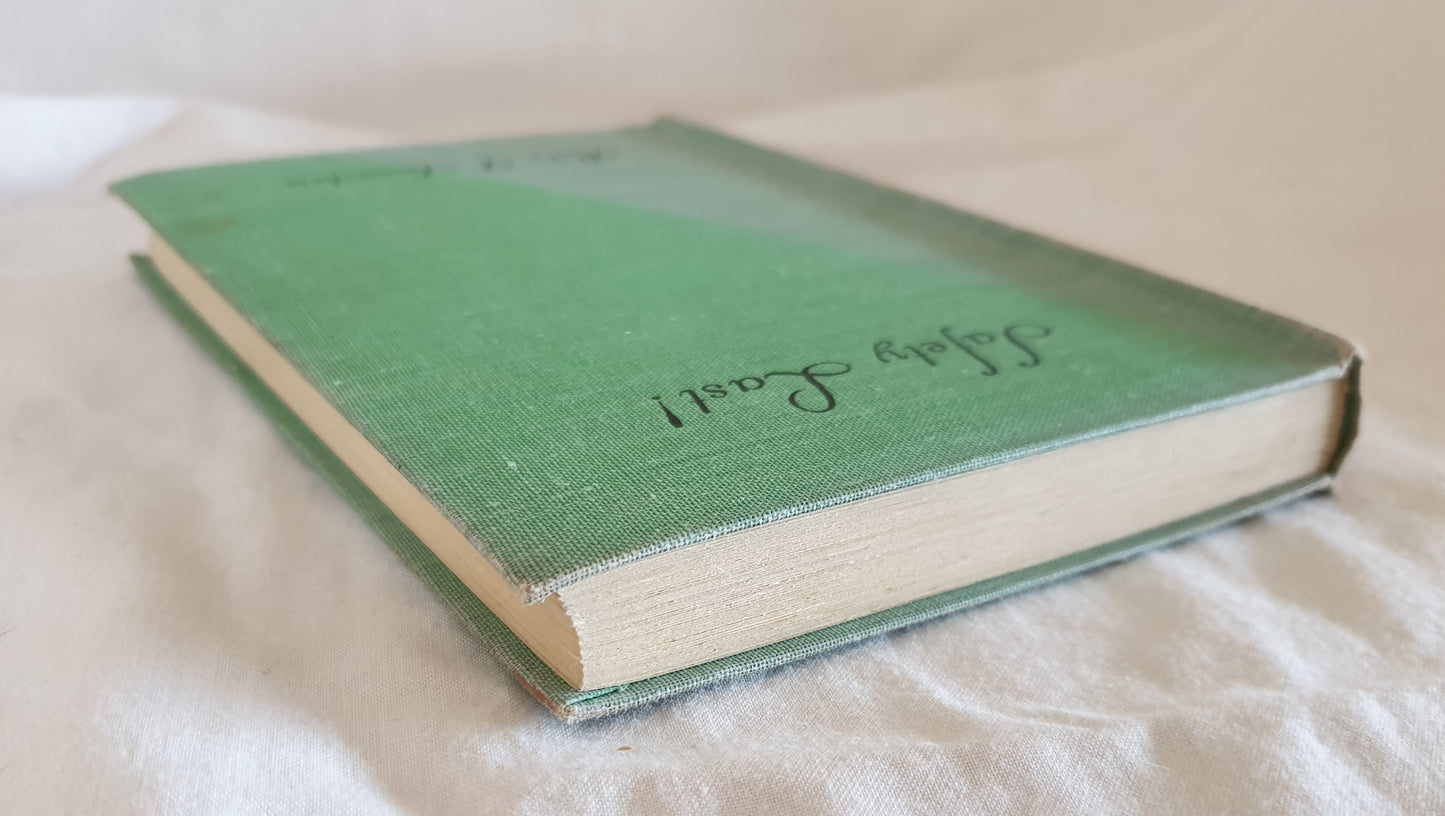 Safety Last! by Rita F. Snowden