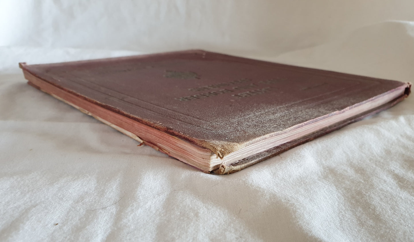 Latest Type and Border Specimens