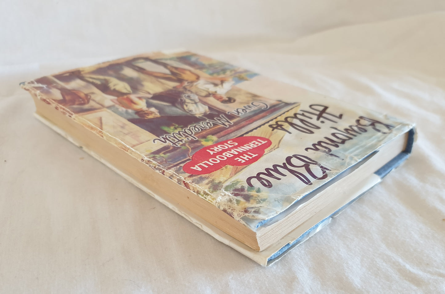 Beyond Blue Hills by Gwen Meredith