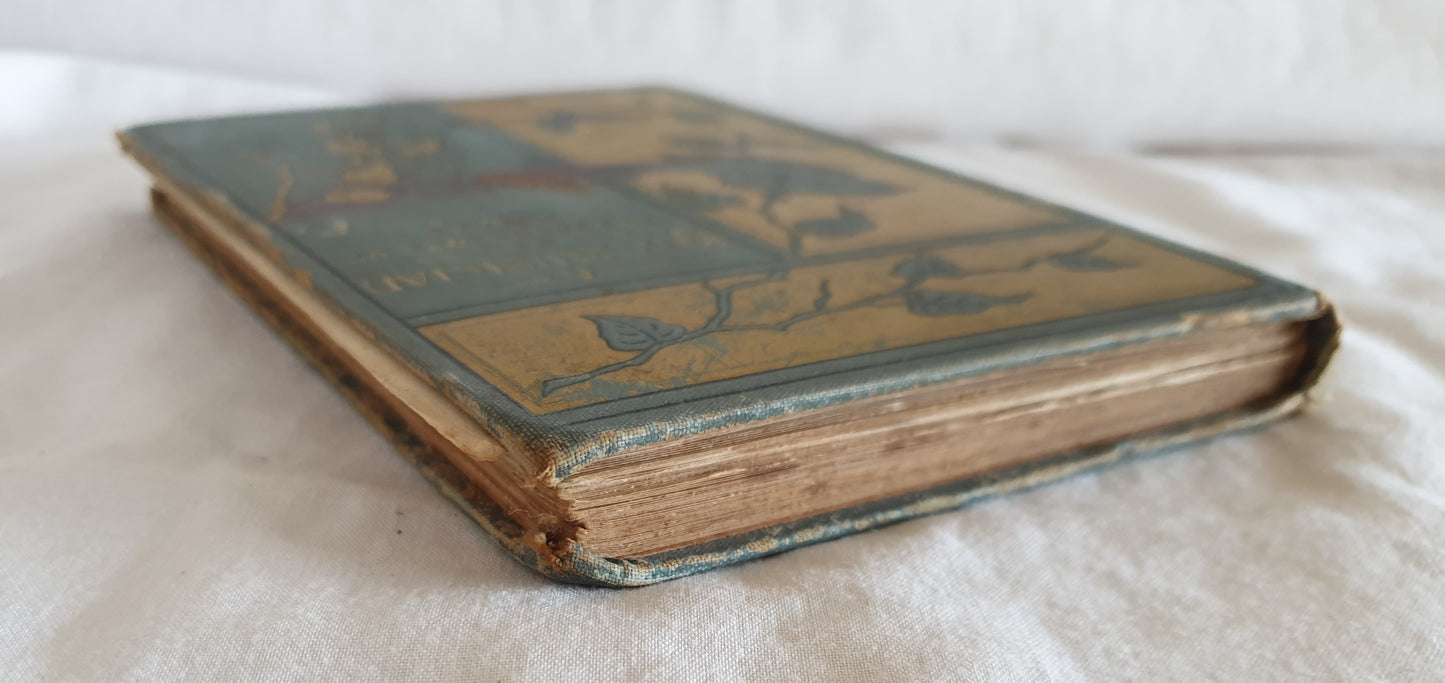 A Boy Musician: or The Young Days of Mozart