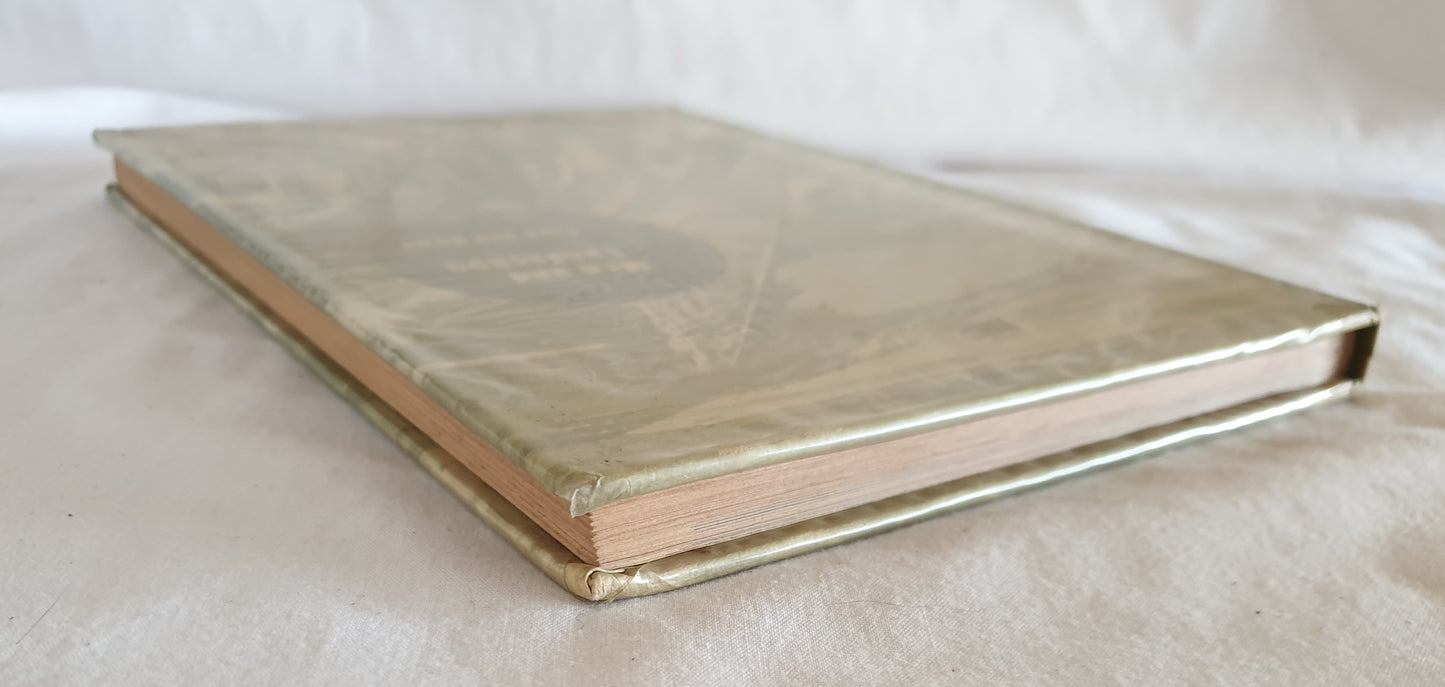 Man and Landscape by Edgar Ford and Brock Rowe