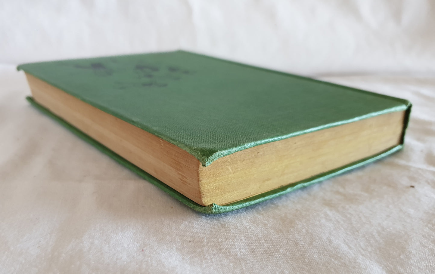 The Happy Hollisters on a River Trip by Jerry West