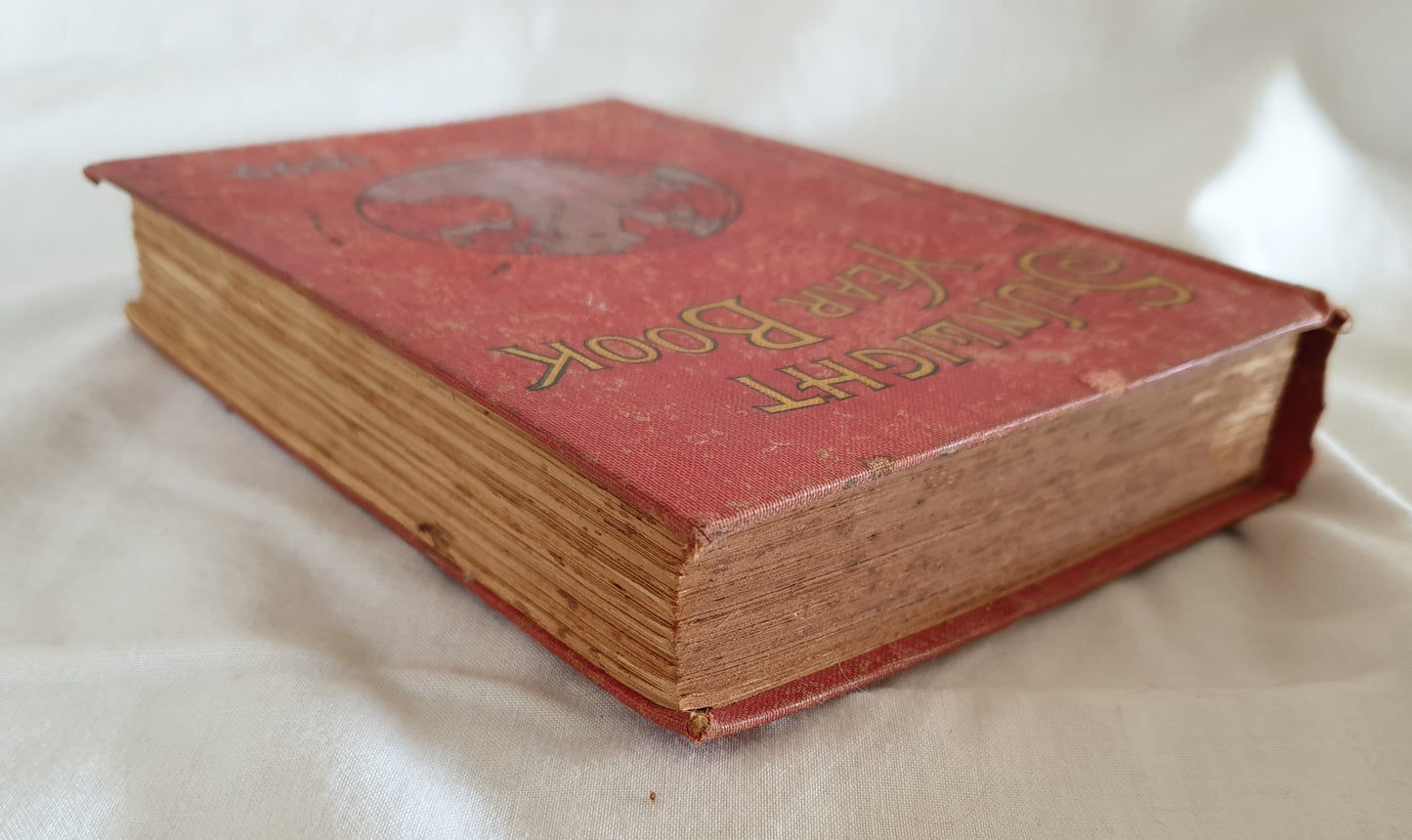 The Sunlight Year Book for 1899