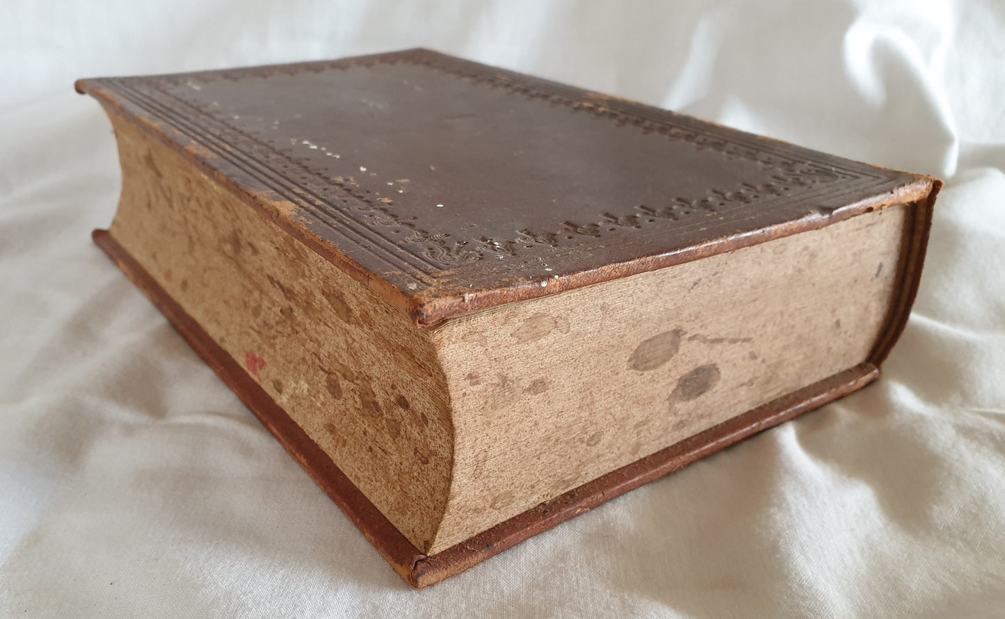 Bibelen eller den hellige Skrift, indeholdende det Gamle og Nye Testamentes