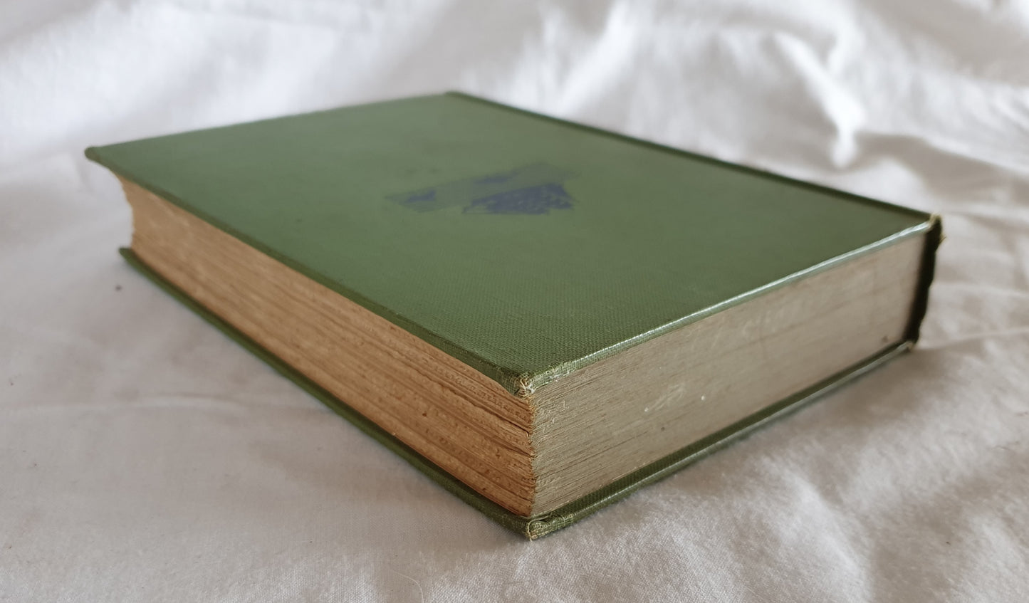 Along New England Shores by A. Hyatt Verrill
