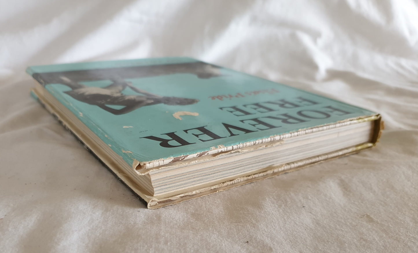 Forever Free Elsa's Pride by Joy Adamson