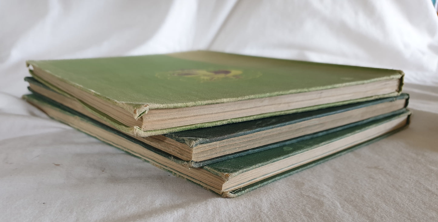 The Children's Wonder Book In Colour - Volumes 1 - 3