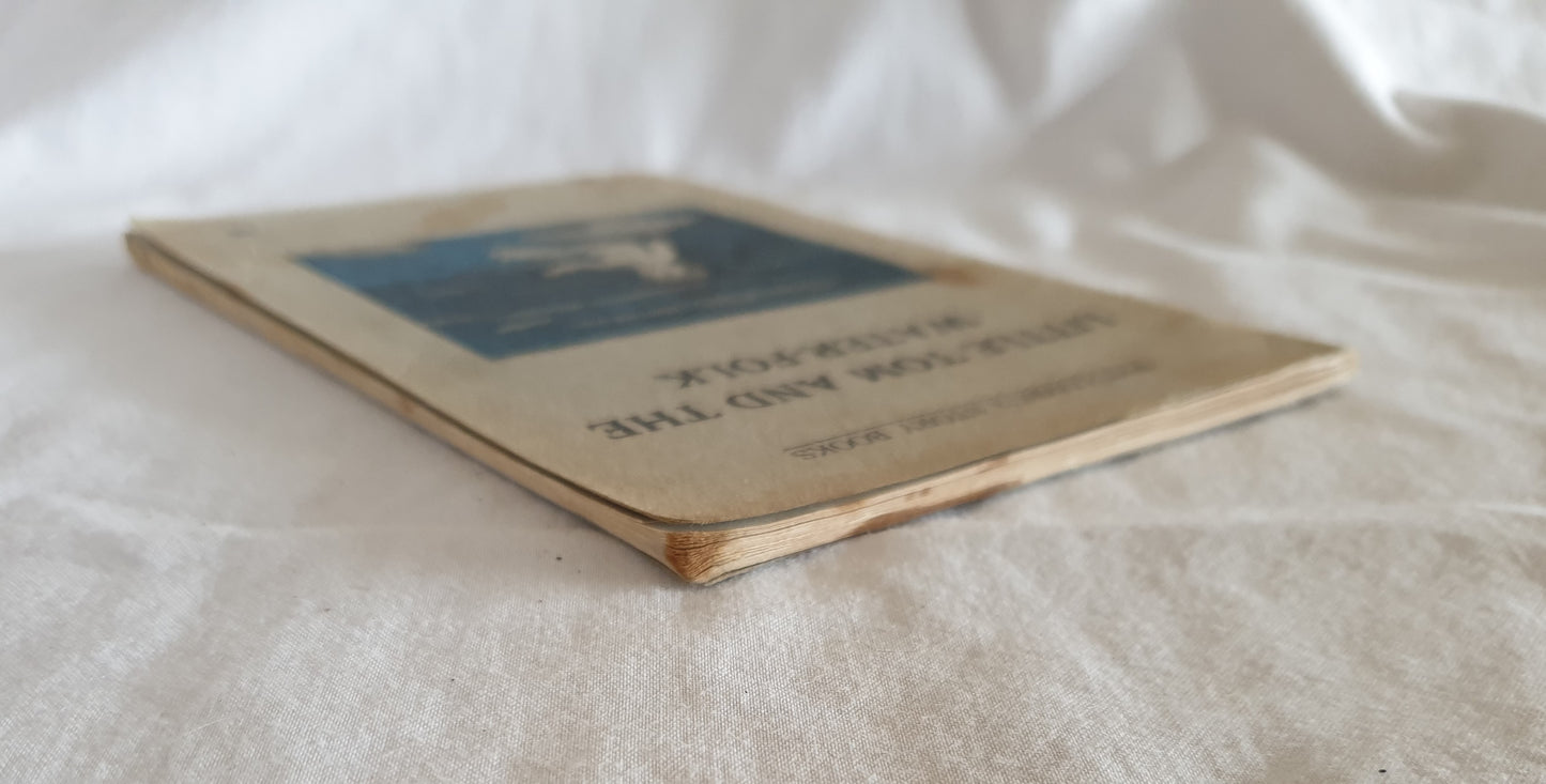 Little Tom and the Water Folk - Whitcombe's Story Books