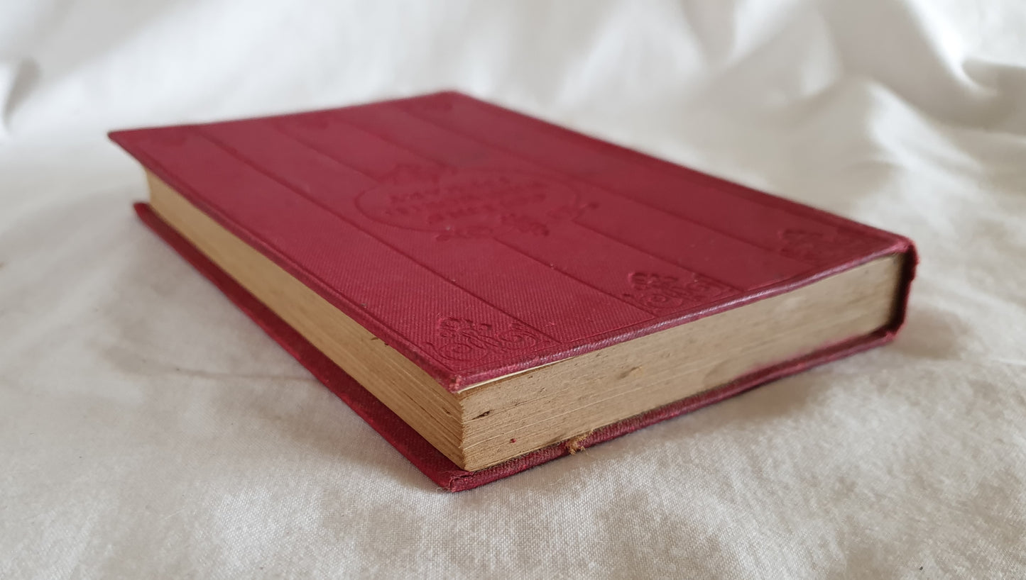 The Diary of A Soldier of Fortune by Stanley Portal Hyatt