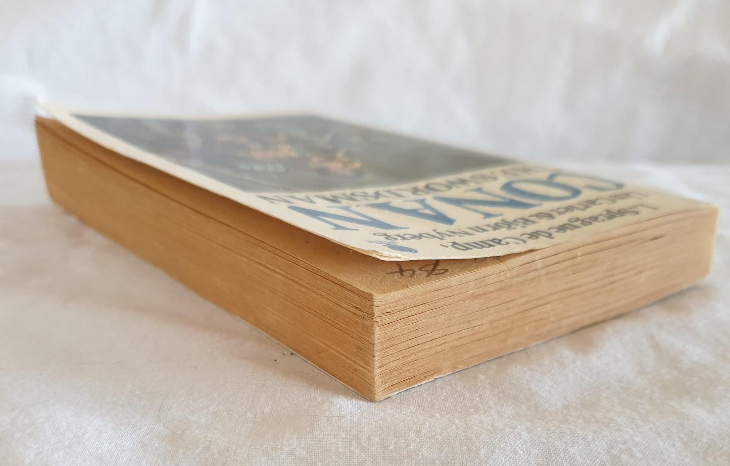 Conan The Swordsman by Sprague De Camp, Carter and Nyberg