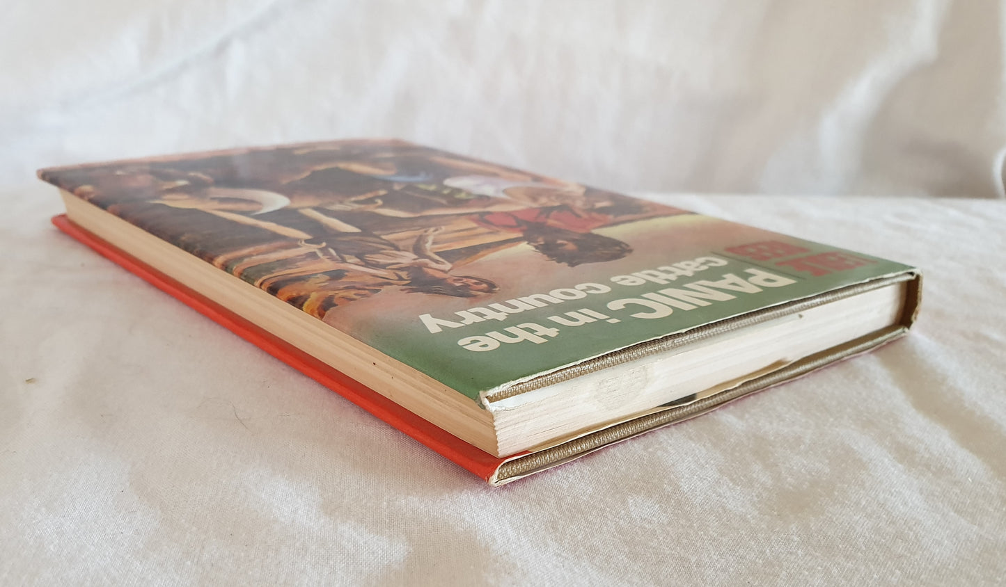 Panic in the Cattle Country by Leslie Rees