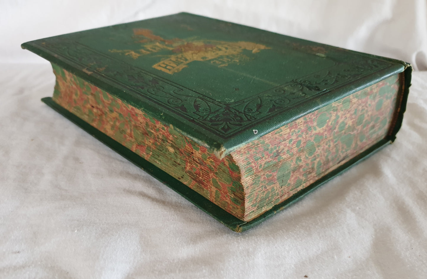 The Royal Path of Life by T. L. Haines and L. W. Yaggy