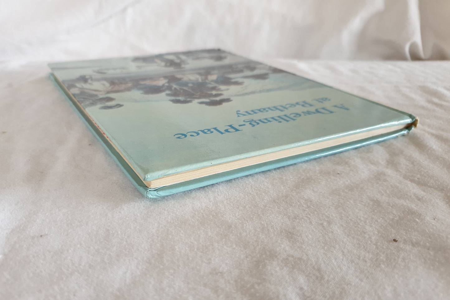 A Dwelling-Place at Bethany by H. F. W. Proeve