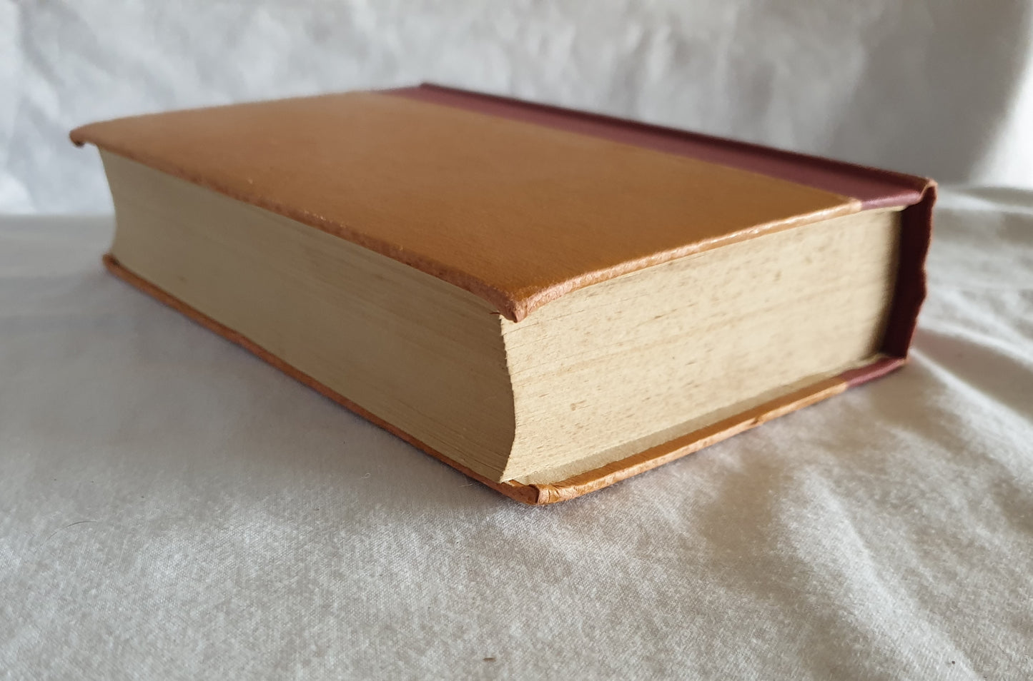 Dealings With The Firm of Dombey and Son by Charles Dickens