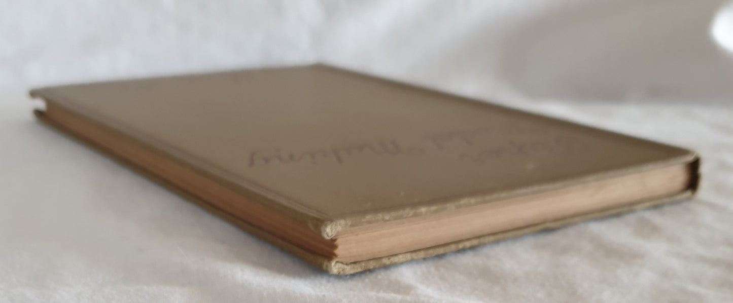 Paper Model Making by Annie Shaw