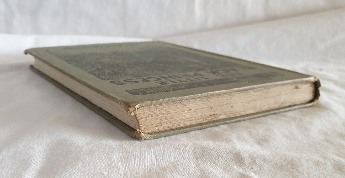 The Little Black Princess of the Never-Never by Mrs. Aeneas Gunn