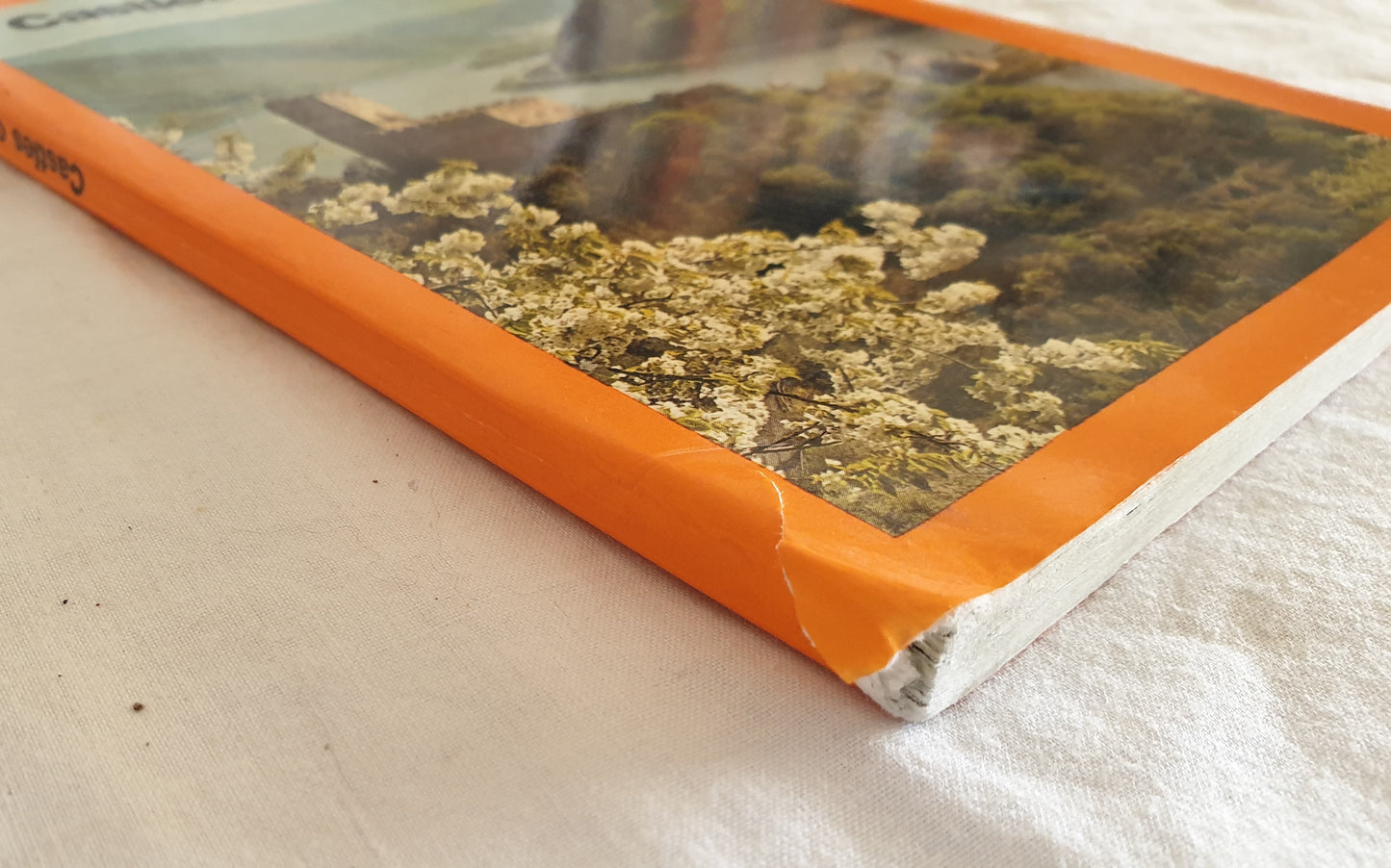 Castles on the Rhine by Dr. Walther Ottendordd-Simrock