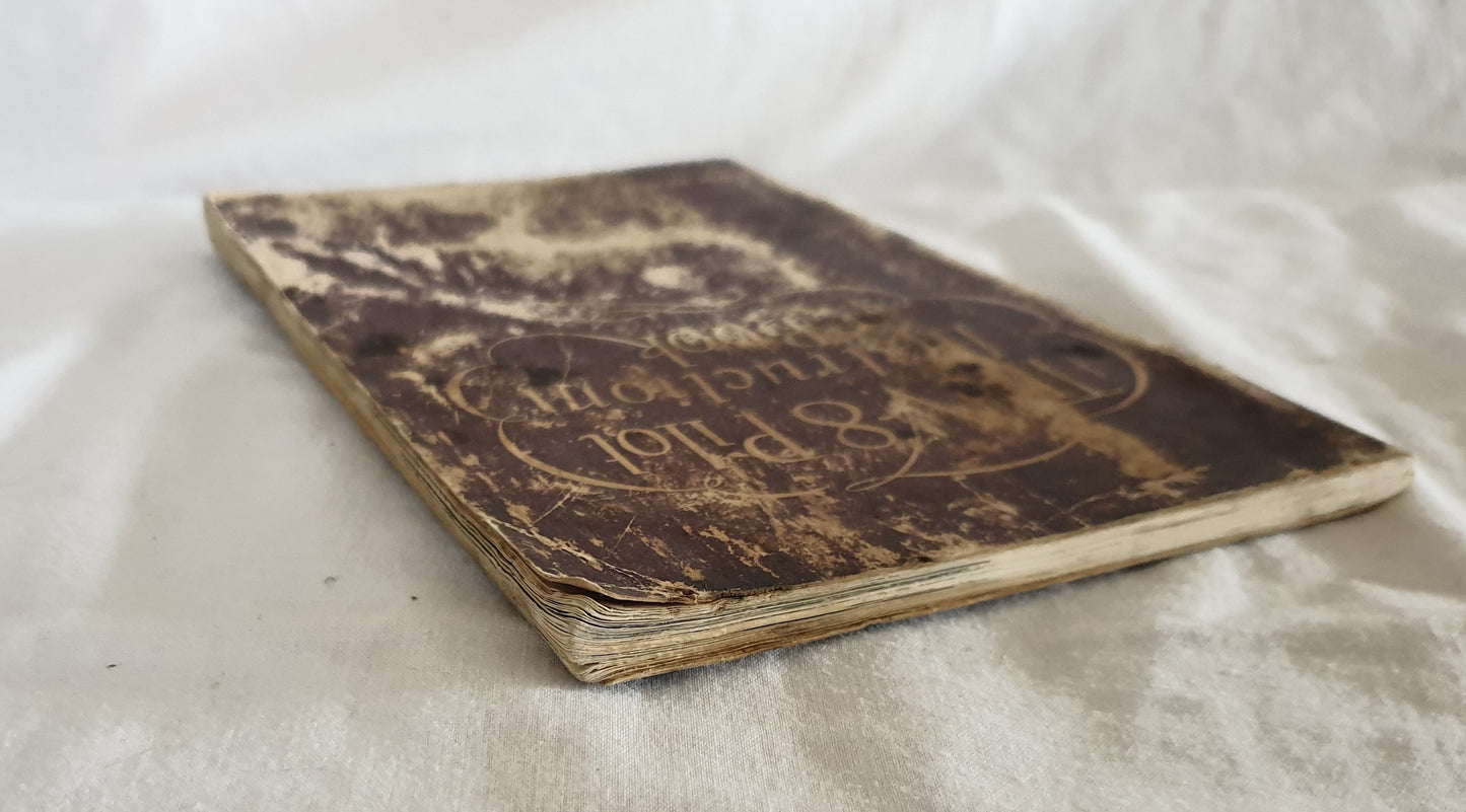 The V-8 Pilot Instruction Book