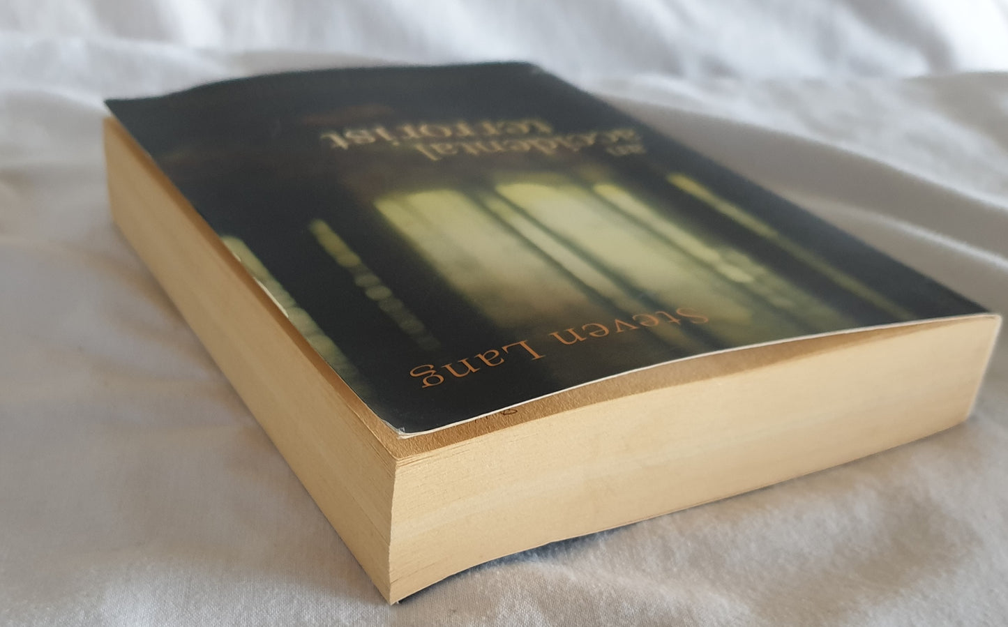 An Accidental Terrorist by Steven Lang