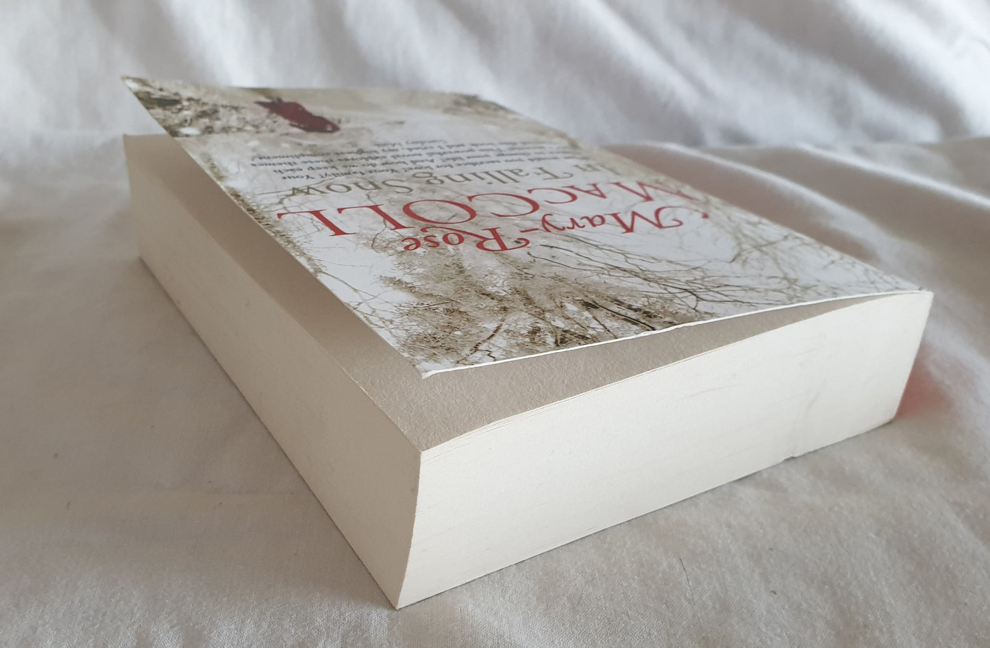 In Falling Snow by Mary-Rose MacColl