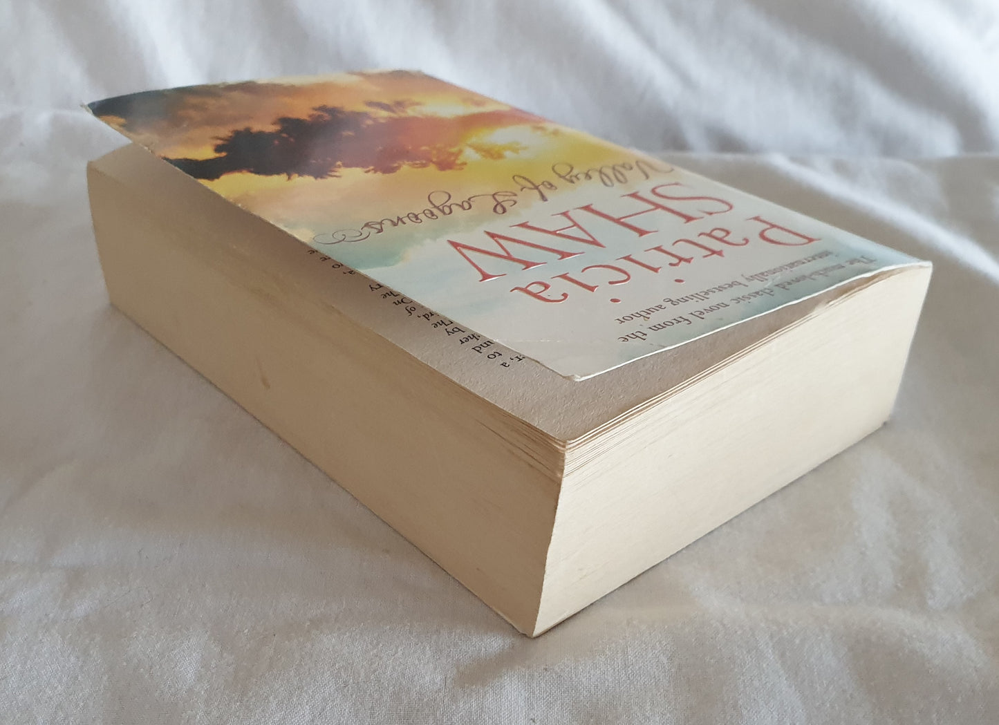 Valley of Lagoons by Patricia Shaw