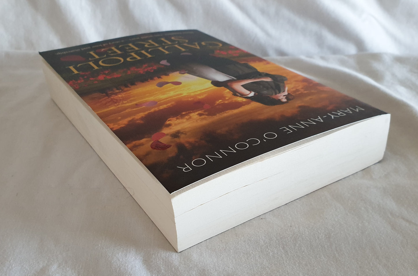 Gallipoli Street by Mary-Anne O'Connor