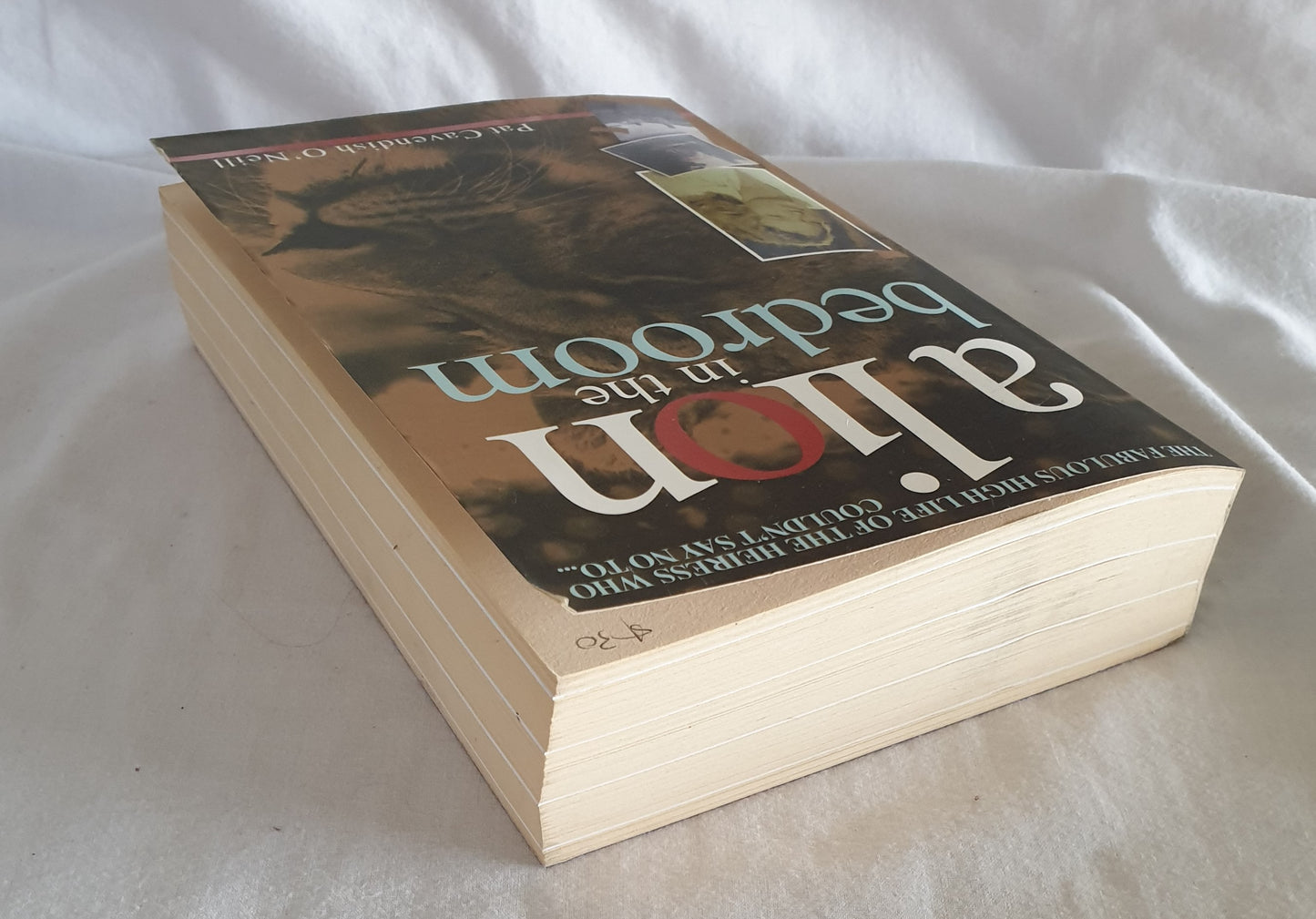 A Lion in the Bedroom by Pat Cavendish O'Neill