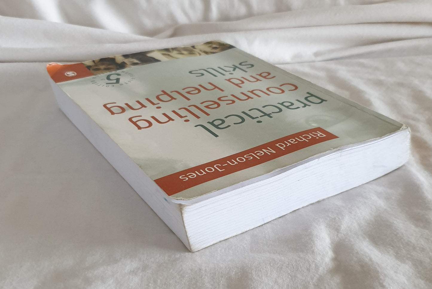 Practical Counselling and Helping Skills by Richard Nelson-Jones