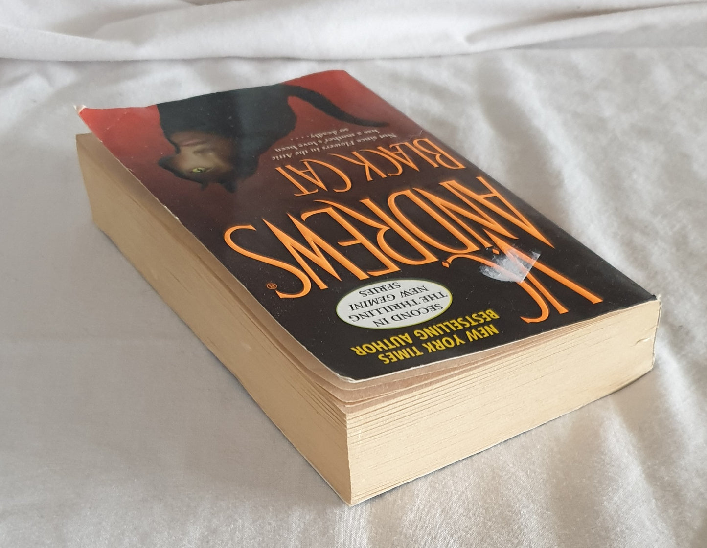 Black Cat by V. C. Andrews