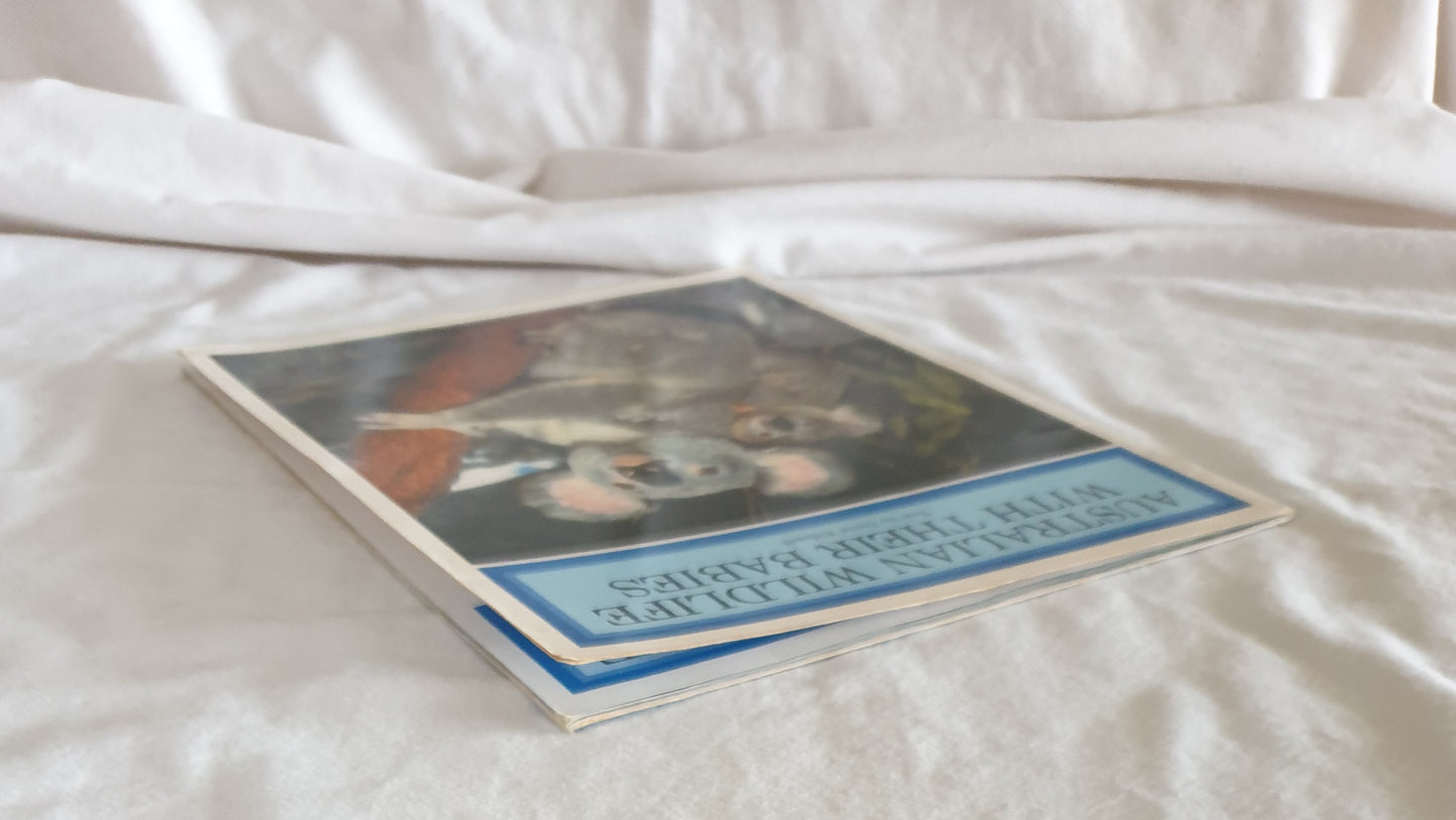 Australian Wildlife With Their Babies by David Ridyard