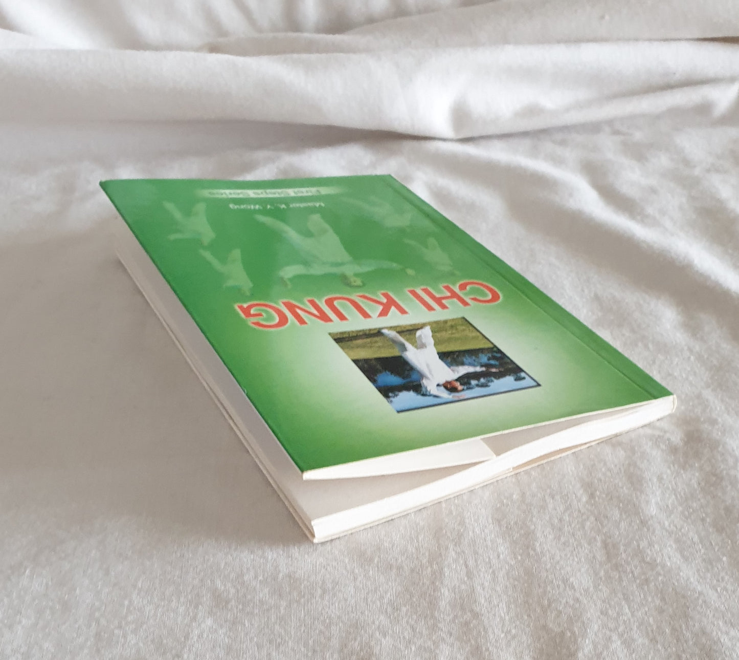 Chi Kung by Master K. Y. Wong