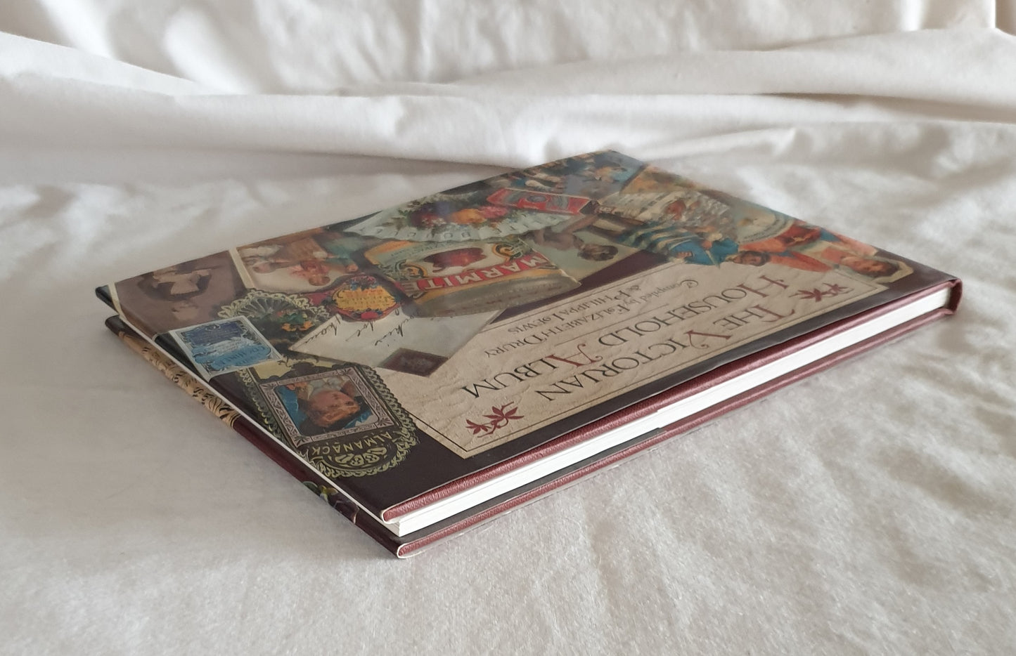 The Victorian Household Album by Elizabeth Drury and Philippa Lewis