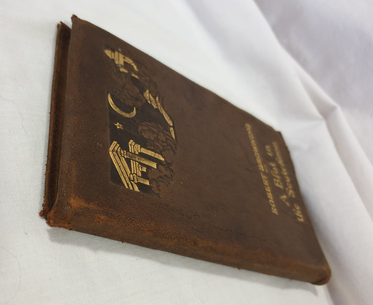 A Blot on the 'Scutcheon by Robert Browning